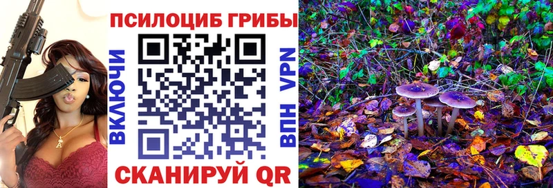 купить наркотики цена Каневская Галлюциногенные грибы прущие грибы